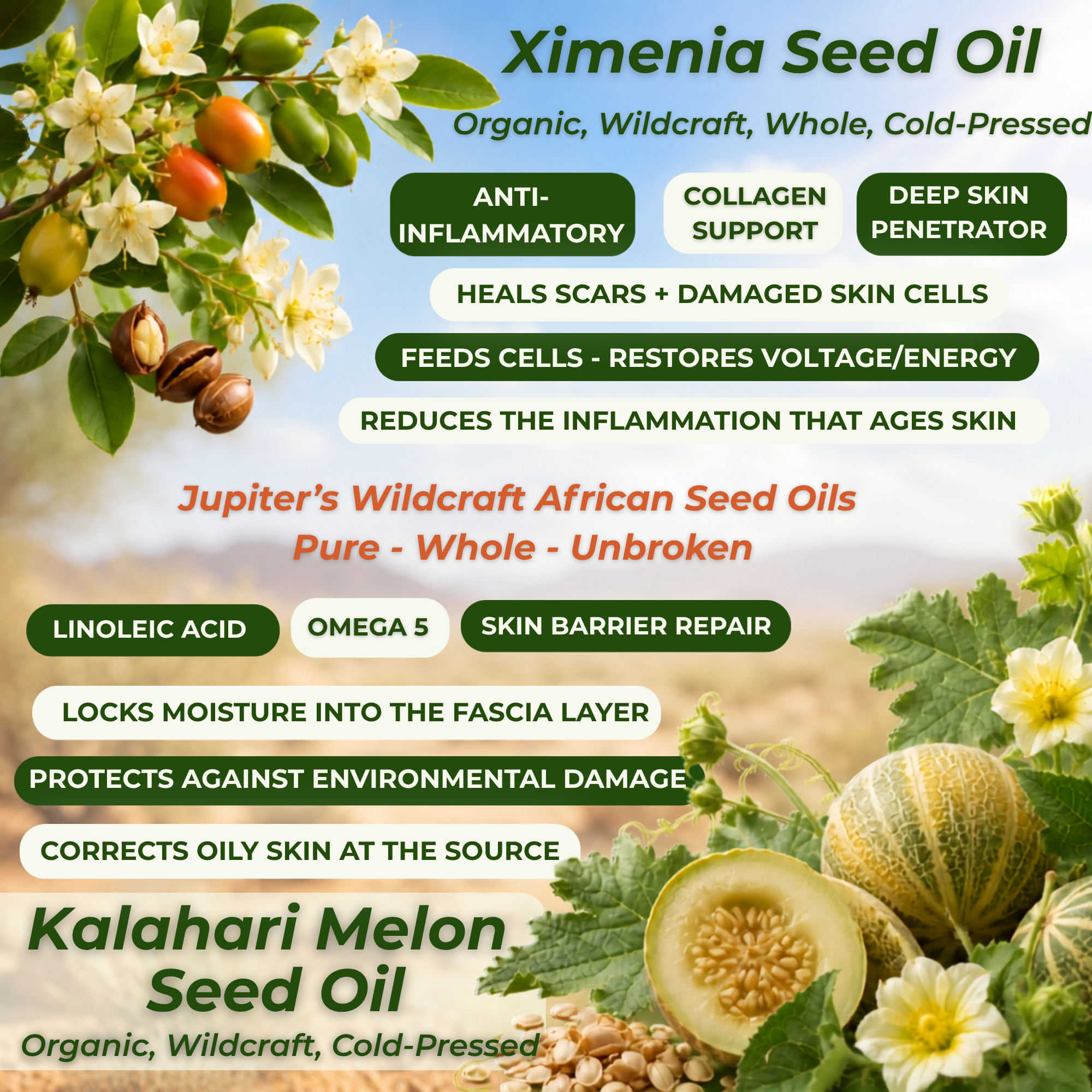Jupiter Oil - 30ml
